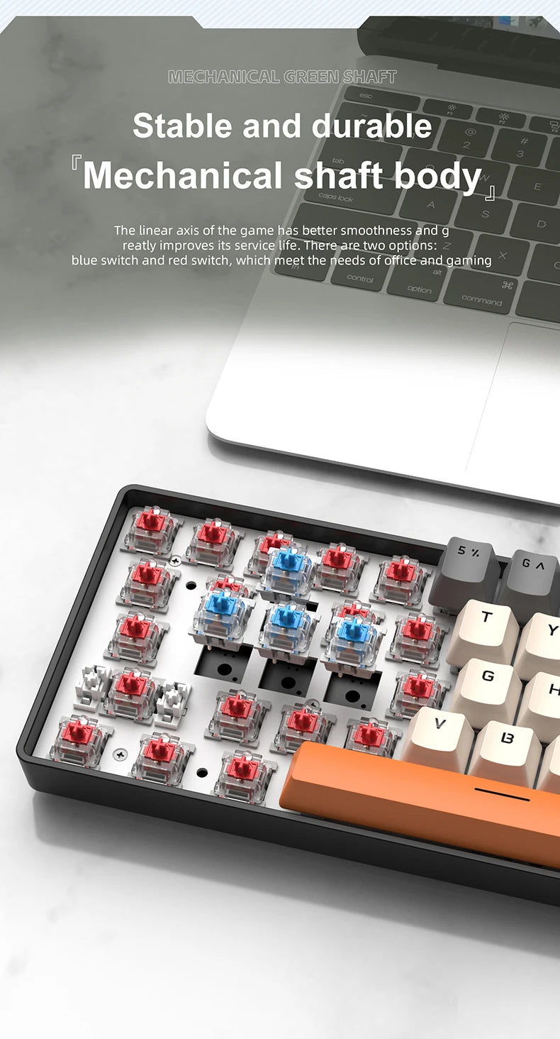 60% Portable Wired Mini Mechanical Keyboard, APAYADO K61 Mini Keyboard Wired,61 Keys Phantom RGB,Black,White,Red,Red/Blue Switch